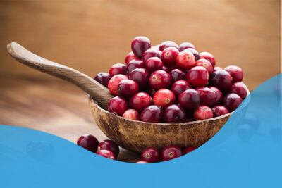 Super frutas conheça 4 benefícios de consumir o Cranberries